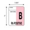 Nevs Label, B Rh Positive 2" x 1-5/8" White w/Pink & Black LBB-22 - alternate 2